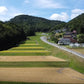 農家直送のお米【コシヒカリ】（広島県府中市の山間部／標高450メートルの山からの湧き出る水で作るお米）　10キロ（7150円：税込み、配送料込み）