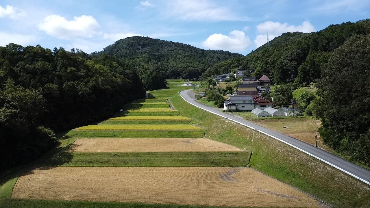 農家直送のお米【コシヒカリ】（広島県府中市の山間部／標高450メートルの山からの湧き出る水で作るお米）　10キロ（7150円：税込み、配送料込み）