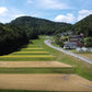 農家直送のお米【コシヒカリ】（広島県府中市の山間部／標高450メートルの山からの湧き出る水で作るお米）　5キロ（3630円：税込み、配送料込み）